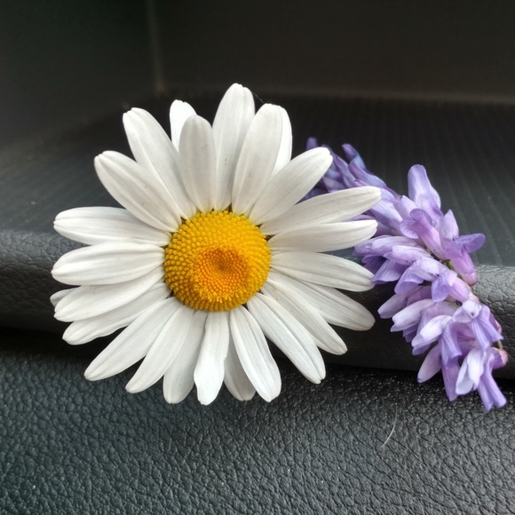 Meet your Posher, Mindy - Picture 1 of 1